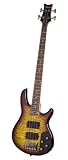 Schecter Raiden