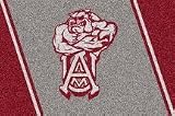 Alabama A & M Bulldogs 33 &acute; x 45 &acute; Team Door Mat - B0001H0IN6