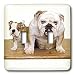 Dogs Bulldog - British Bulldog - Light Switch Covers - double toggle switch