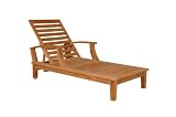 Anderson Teak SL-109 Brianna Sun Lounger with Arm (Natural)
