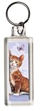 Midsummer Cat Keyring