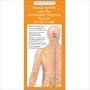 Anatomical Chart Company's Illustrated Pocket Anatomy: Spinal Nerves and the Autonomic Nervous System Study Guide