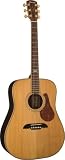 Alvarez PD361 Professional Series Dreadnought Acoustic Guitar