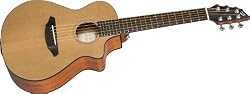Breedlove Passport C250/CM, T Guitar