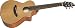 Breedlove Passport C250/CM, T Guitar