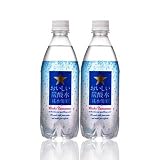 サッポロおいしい炭酸水ペット500ml×24 本×２セット