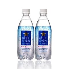 サッポロおいしい炭酸水ペット500ml×24 本×２セット