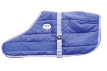 WeatherBeeta Landa Foal Blanket 28-42 Royal/Wister