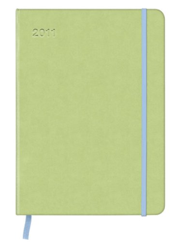 2011 CoolDiary Calendar Large Light Green/Stripes
