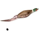 Remington Pheasant Large Foam Dog Trainer