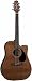 Takamine EF340SCGN Dreadnought C/A Acoustic Electric Guitar w/Case