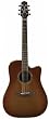 Takamine ETN10CTBS Dreadnought C/A Acoustic Electric Guitar with Case, Satin Sunburst