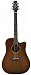 Takamine ETN10CTBS Dreadnought C/A Acoustic Electric Guitar with Case, Satin Sunburst