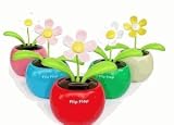 Flip Flop Solar Power Flower Swing Flower Car Interior Decor -12 for $36, $3 Each - Party Favor Ideas