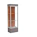Edge Series Floor Display Case Frame Color: Satin, Base Color: Morro Zephyr, Case Backing: Terra Cotta