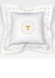 Baby Fanatic Tennessee Pillow