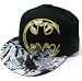 Search : Batman The Dark Knight Logo Fitted Flat-ball Baseball Hat
