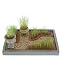 Search : Table Top Garden