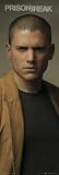 Posters: Prison Break Door Poster - Michael (62 x 21 inches)