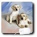 labrador34  - Dogs Labrador Retriever Labrador Retriever Mouse Pads