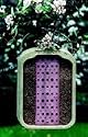 Schwegler 00377/5 Insekten-Nistwand 21,5 x 30 x 12 cm