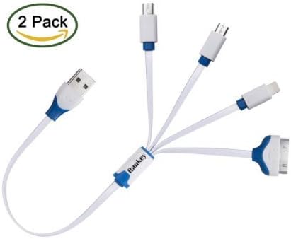 Raukey Premium Quality 4 in 1 Multiple USB Charging Cable with Micro USB / Mini USB Ports for iPhone 6s, 6s Plus, 6, 6 Plus, 5 / 5S / 5C, 4S 4, iPad 4 3 2, Galaxy S2, S3, S4 and More (2Pack)