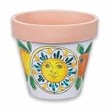 Handmade Medium Flowerpot with Sun and Fruit From Italy