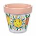 Handmade Medium Flowerpot with Sun and Fruit From Italy