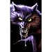 Werewolf Translucent Window Decorations