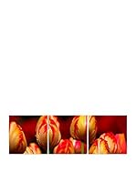 Wall Decor  Fotocuadro Tríptico Magilong