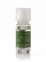Fresh Bamaboo Home Fragrance Oil (.33fl. oz./9.7 ml), by Slatkin & Co., as sold at Bath & Body Works