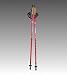 rote Nordic-Walking St&ouml;cke Aluminium ausziehbar