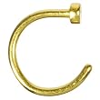 20 Gauge 5/16" Yellow Anodized Titanium Nose Hoop