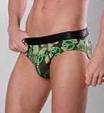 3G Evolution Brief (66103)