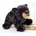 BOULDER BLACK BEAR By Douglas