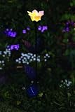 Solar Powered Yellow Tulip Garden Gazing Globe and Luminaire