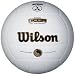 Sporting Goods : Wilson I-COR High Performance Volleyball