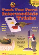 Feathered Phonics Teach Your Parrot Series DVD 3: Intermediate Tricks