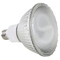 COMPACT FLUORESCENT FLOODLIGHT PAR30 CFL LIGHT BULB 19 WATTS ENERGY STAR 28K WARM COLOR TONE INDOOR AND OUTDOOR RATED
