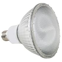 COMPACT FLUORESCENT FLOODLIGHT PAR30 CFL LIGHT BULB 19 WATTS ENERGY STAR 28K WARM COLOR TONE INDOOR AND OUTDOOR RATED