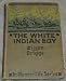 The White Indian Boy The Story of Uncle Nick Among the Shoshones
