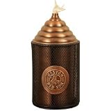 Boston Red Sox MLB Garden Torch