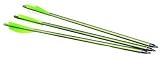 PSE 20IN XBOW BOLTS 6-PK 100GP