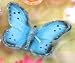 Floating Blue Butterfly Candles (6 candles per box)