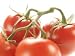 Deeeeee-licious! (Organic Tomatoes on the Vine) Plucked fresh from the vine and sent straight to you, these organic cluster tomatoes still hold the soothing scent of warm sunshine and the taste of pure tomato-y goodness. Deeeeee-licious!