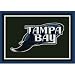 Tampa Bay Devil Rays 5 4" x 7 8" Team Spirit Area Rug