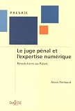 Revue Dalloz-Sirey  / Le juge pénal et l'expertise numérique : Révolutions au Palais