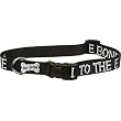 Harley-Davidson 1" Reflective Bad to the Bone Adjustable Collar