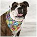 Assorted Fashion N Fun 5 Pack PetDannas Dog Bandanna ... Large