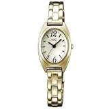 ORIENT オリエントWY0841UBの画像